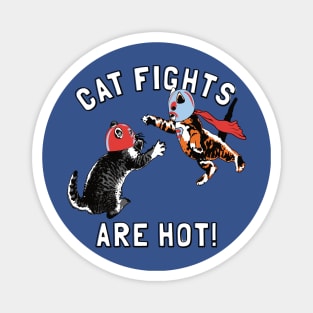 Cat Fights Are Hot Magnet